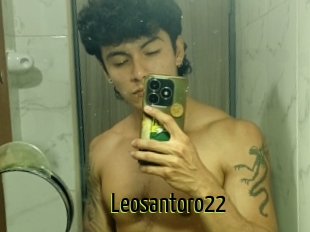 Leosantoro22