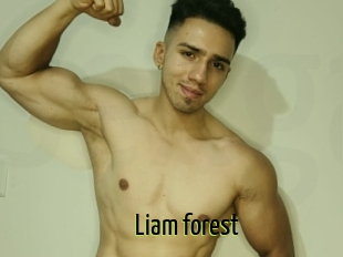 Liam_forest