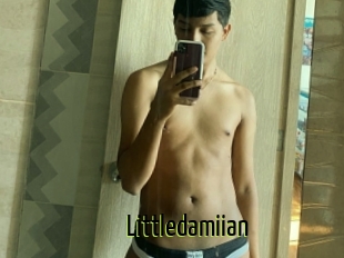 Littledamiian