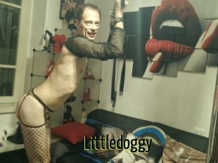 Littledoggy