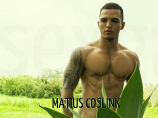 MATIUS_COSLINK