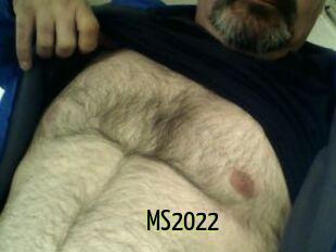 MS2022
