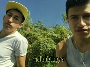 Malehotboys