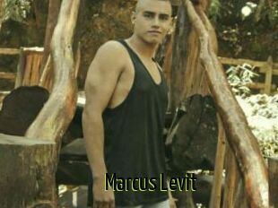 Marcus_Levit
