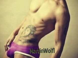 Martin_Wolfl