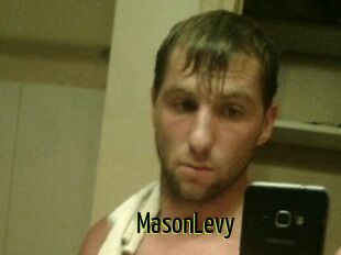 Mason_Levy