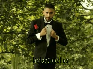 MateoCeballos