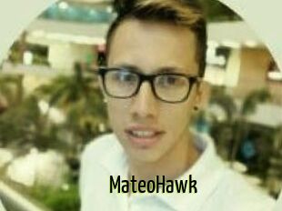 MateoHawk
