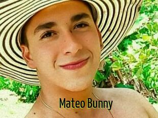 Mateo_Bunny