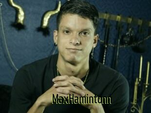 MaxHamintonn