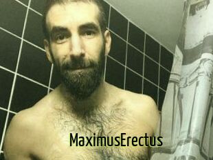 MaximusErectus