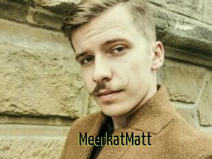MeerkatMatt