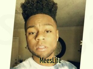 MeesLife