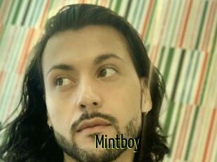 Mintboy