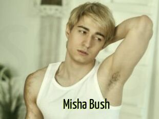 Misha_Bush