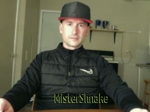 MisterShnake