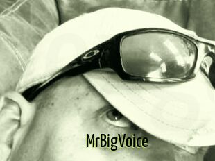 MrBigVoice