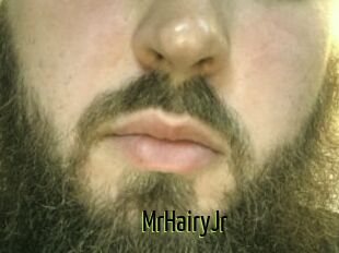 MrHairyJr