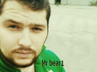 Mr_bear1