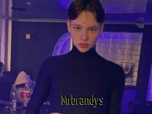 Mrbrandys