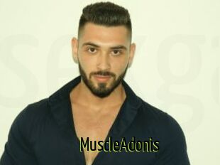MuscleAdonis