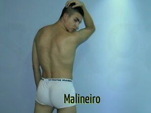 Malineiro