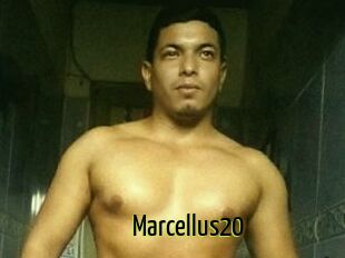 Marcellus20