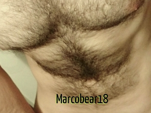 Marcobear18