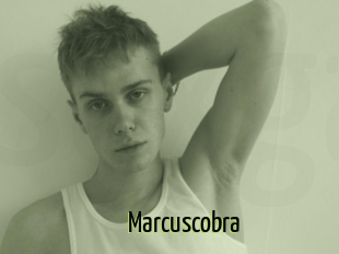 Marcuscobra