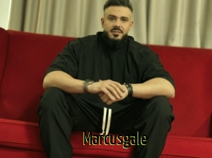 Marcusgale