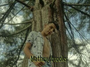 Mathew_brooks