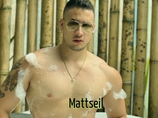 Mattseil