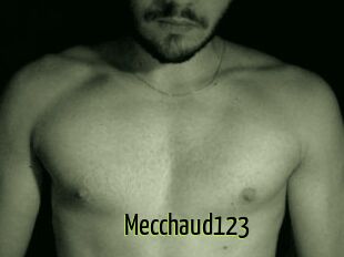Mecchaud123