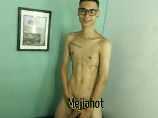 Mejiahot