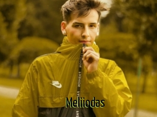 Meliiodas