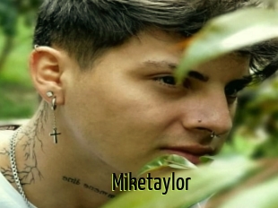 Miketaylor