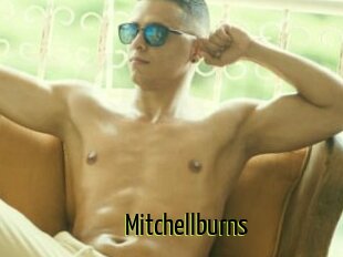 Mitchellburns