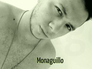 Monaguillo