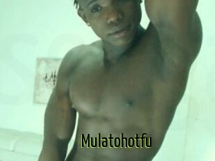 Mulatohotfu