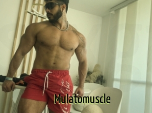 Mulatomuscle