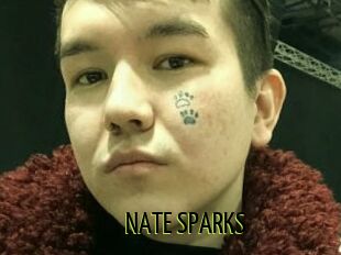 NATE_SPARKS