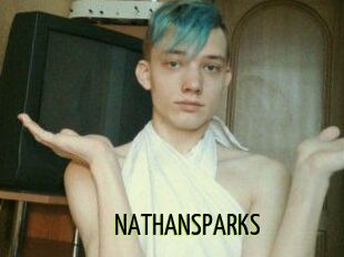 NATHAN_SPARKS