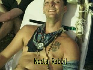 Nectar_Rabbit