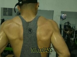 NiiccolASS