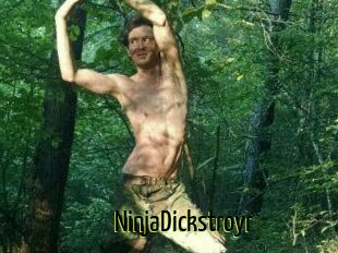 NinjaDickstroyr