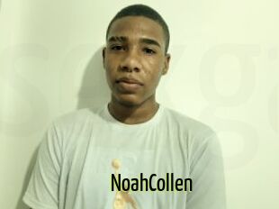 NoahCollen