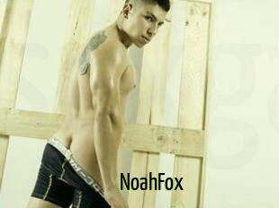 NoahFox