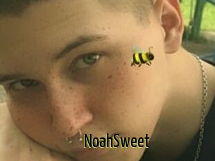 NoahSweet
