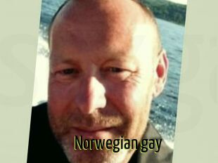 Norwegian_gay