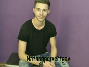 Nathanpervertgay
